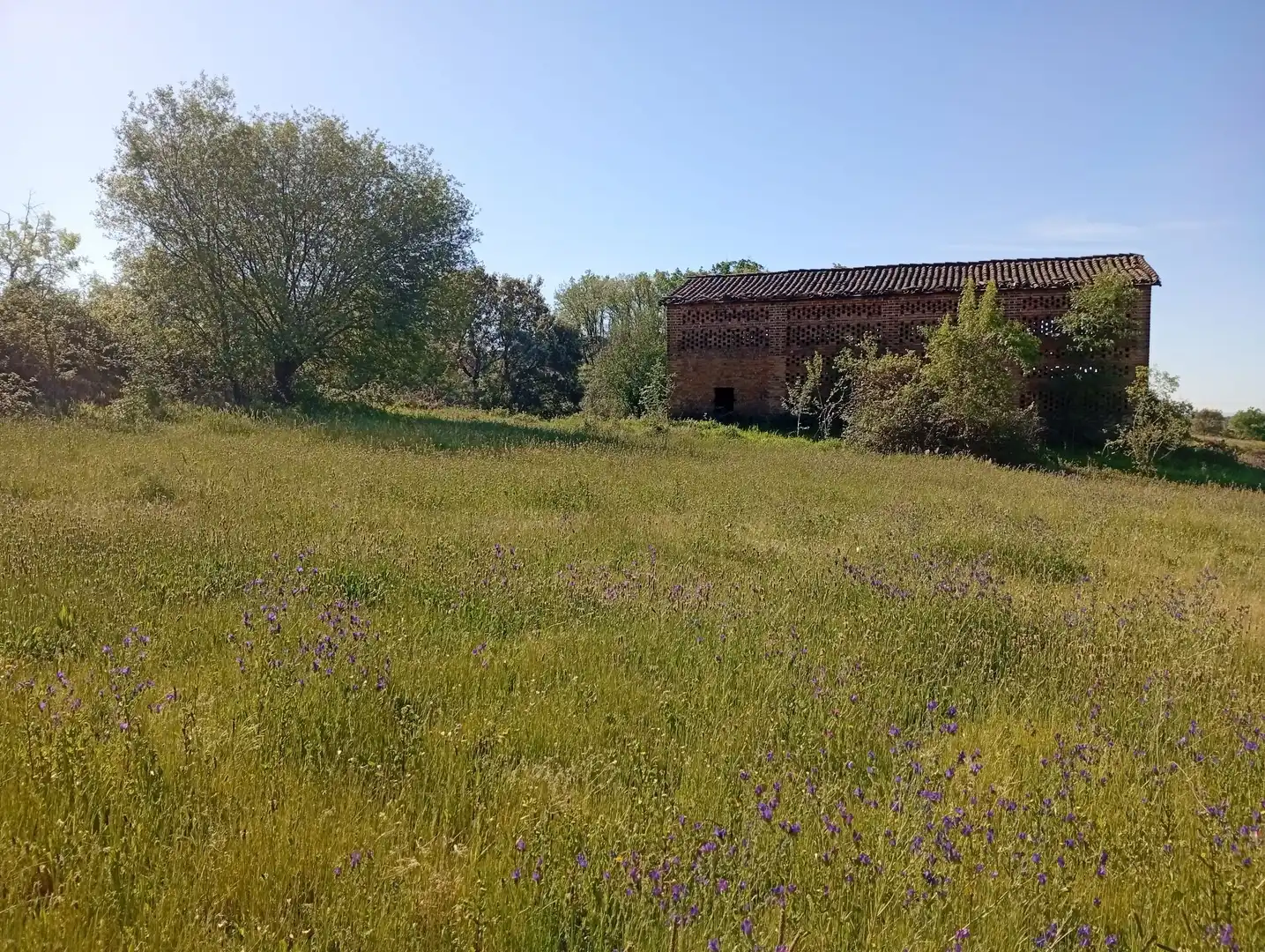 Terreni e lotti in vendita a Talaveruela de la Vera, imagen 75