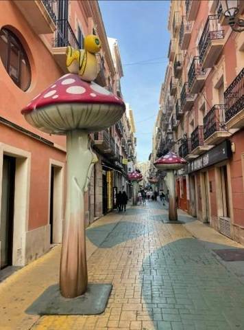 Local comercial en Alquiler en Barrio del Centro