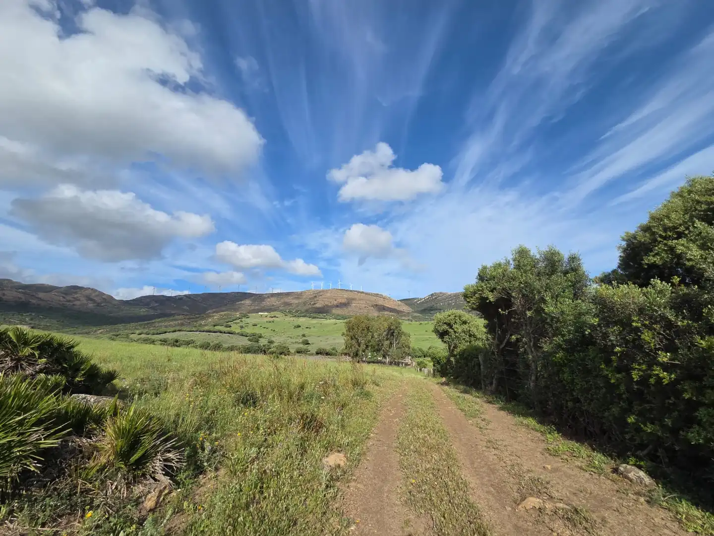 Vista exterior de Terreno en venta en Tarifa