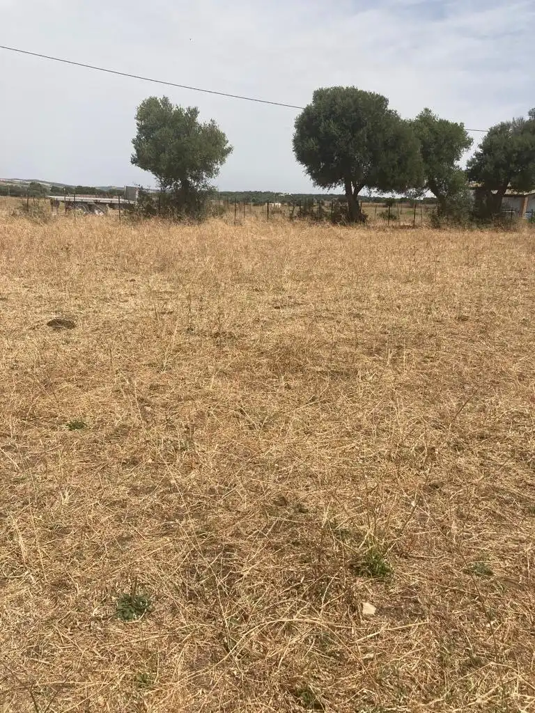 Casa rústica en venda a Barbate ciudad, imagen 7