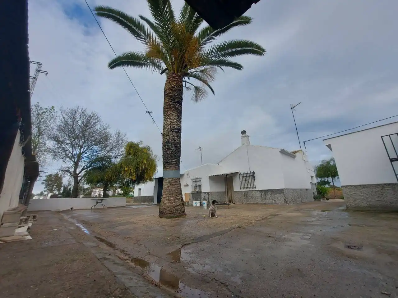 Terreno rústico en venta en Jerez norte - Montealto - Pozoalbero, imagen 3