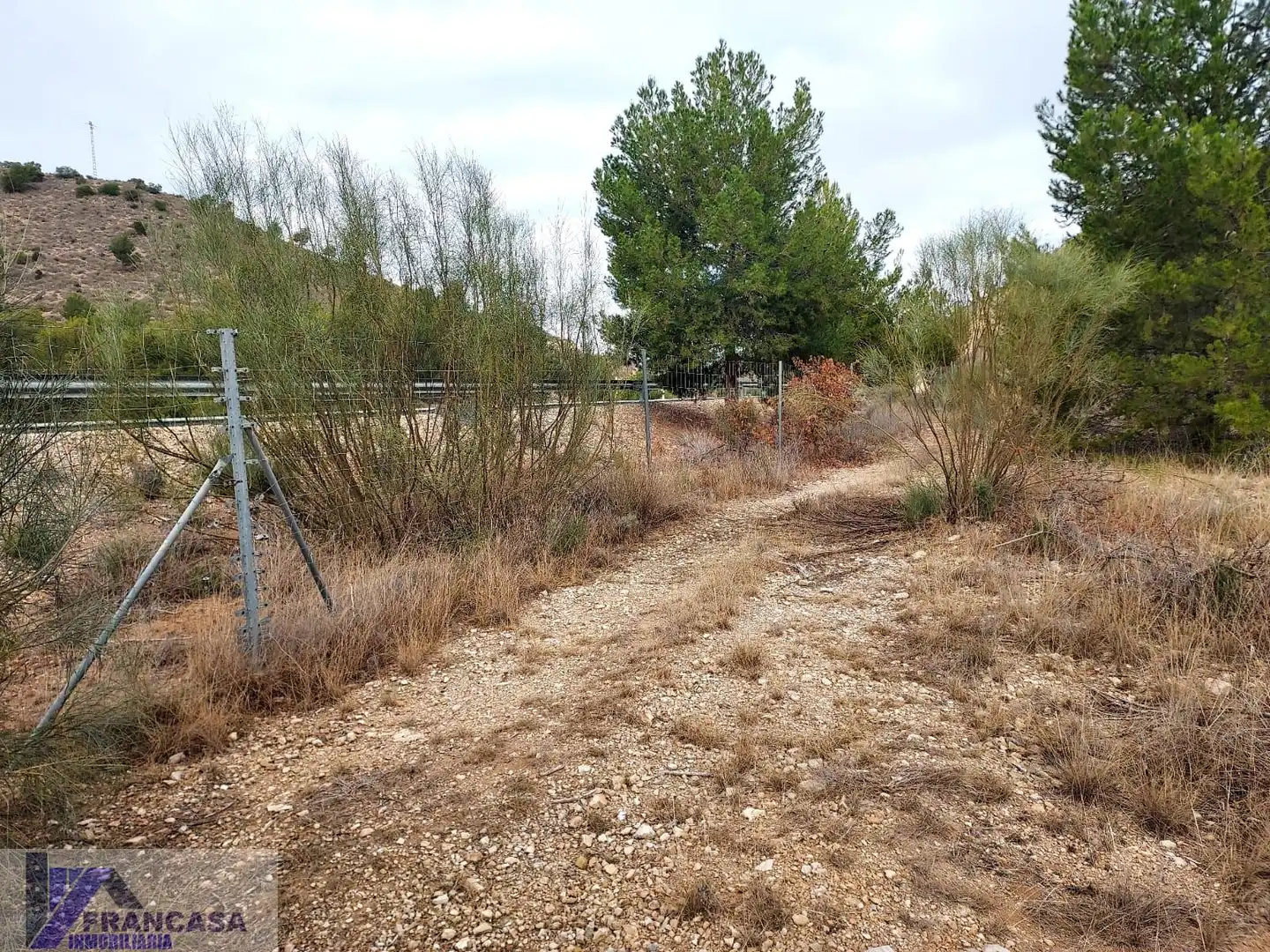 Terrenys i solars en venda a Cieza, imagen 8