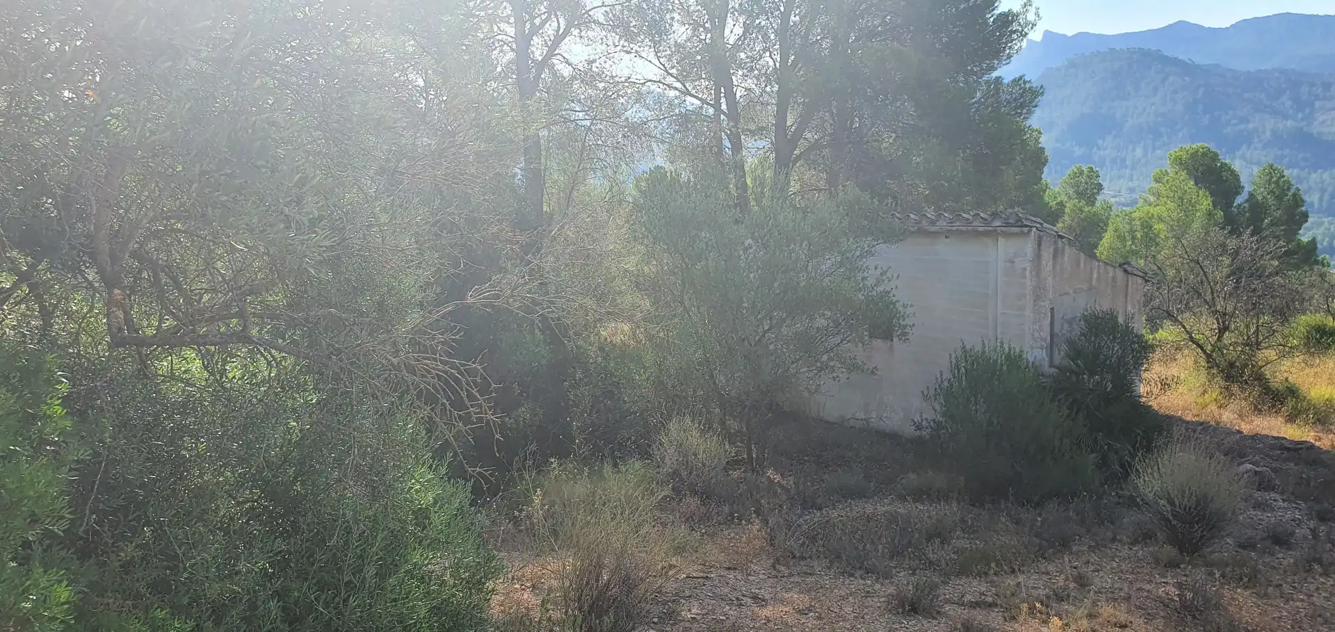 Casa en venta en Benifallet, imagen 5