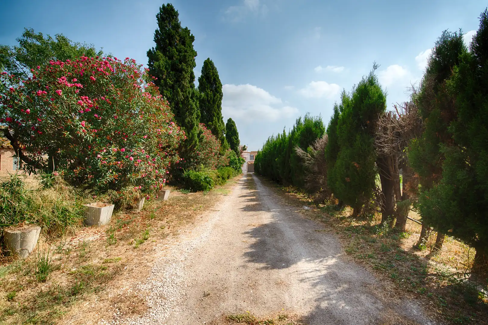 Vista exterior de Finca rústica en venda en Castelló d'Empúries amb Jardí privat i Piscina