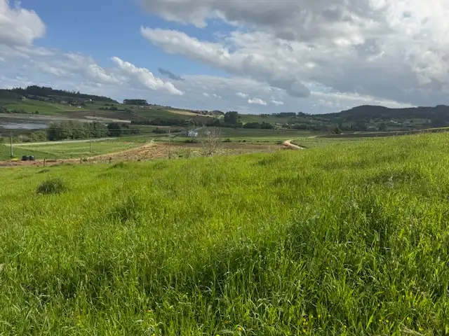 Residential land for sale in Castropol, imagen 16