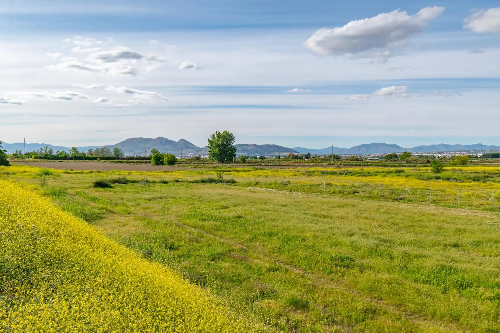 Lands and plots for sale in Polígono 9 Parcela 307 MARACHAT. GRANADA (GRANADA, imagen 10