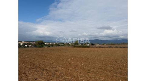 Terreno rústico en venta en Cardedeu, immagine 3