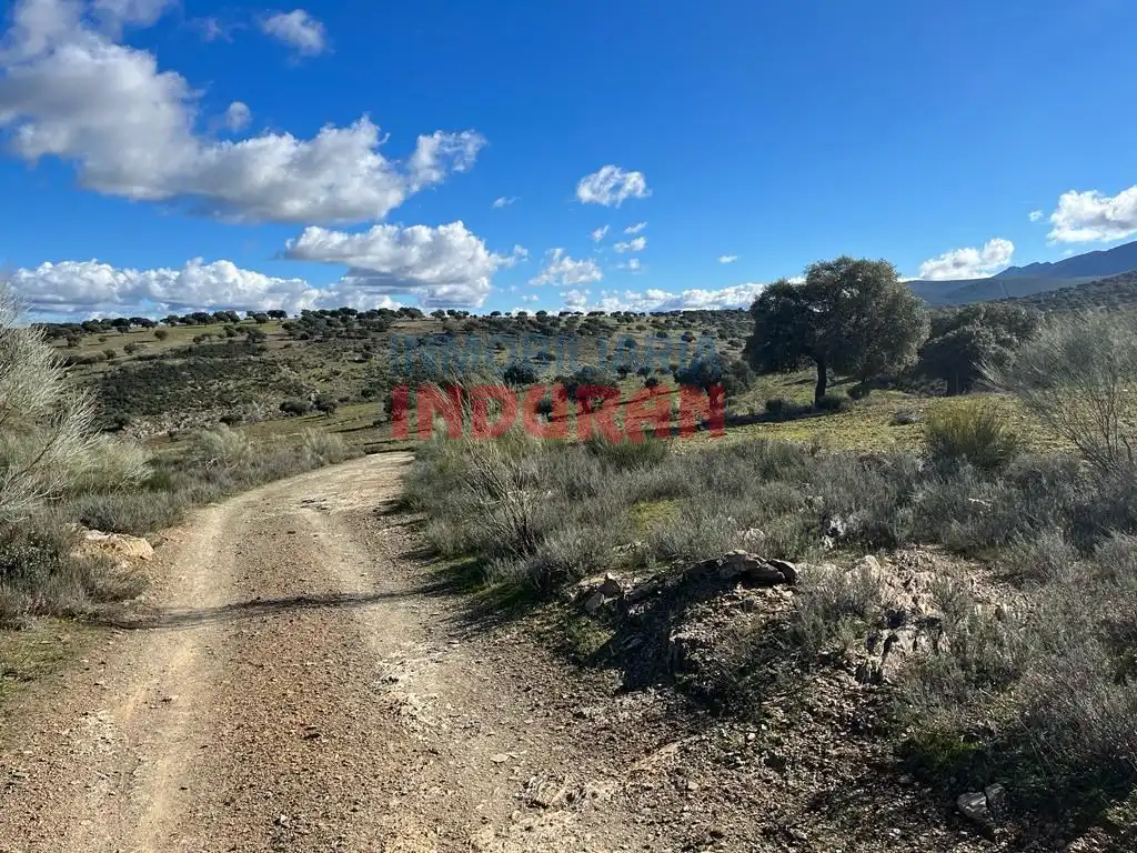 Finca rústica en venta en Carrascalejo