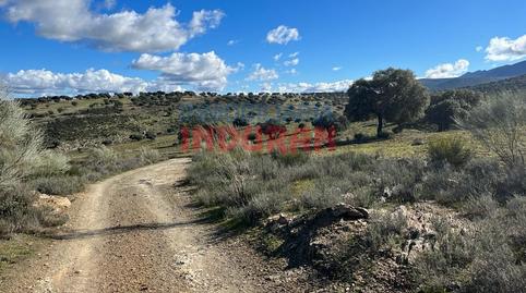 Foto 2 de Finca rústica en venda a Carrascalejo, Cáceres