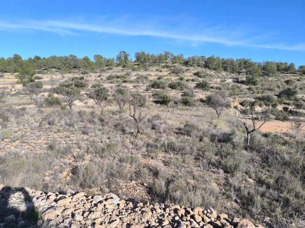 Rural land for sale in C-3320, imagen 3