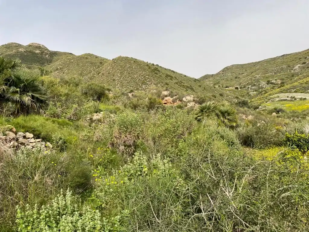 Country homes for sale in Cartagena