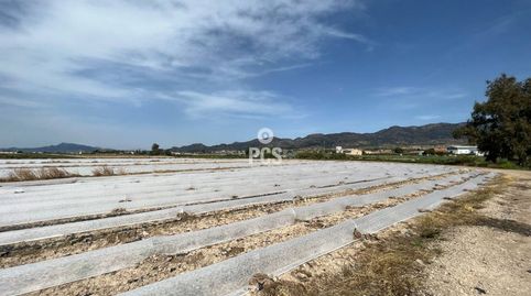 Photo 2 of Residential for sale in Calle Camino de Los Tollos, La Hoya, Lorca