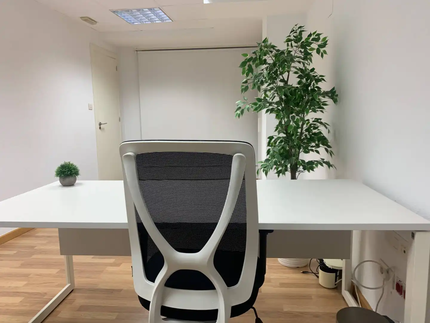 Büro zur Miete in Elche / Elx mit Möbliert