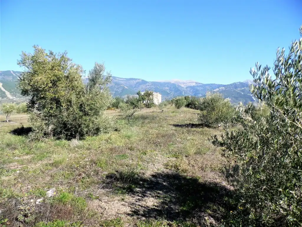 Finca rústica en venda en Canillas de Albaida