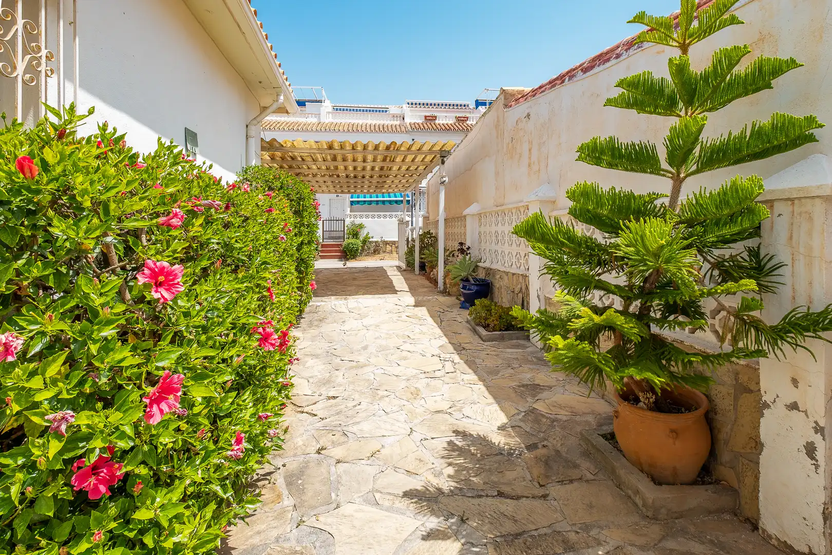 Casa o xalet en venda a Calle Marbella, Centro Internacional