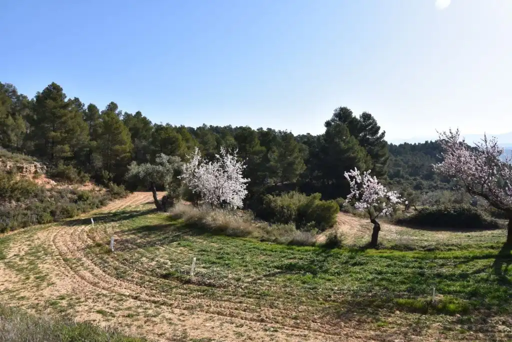 Country homes for sale in La Fresneda