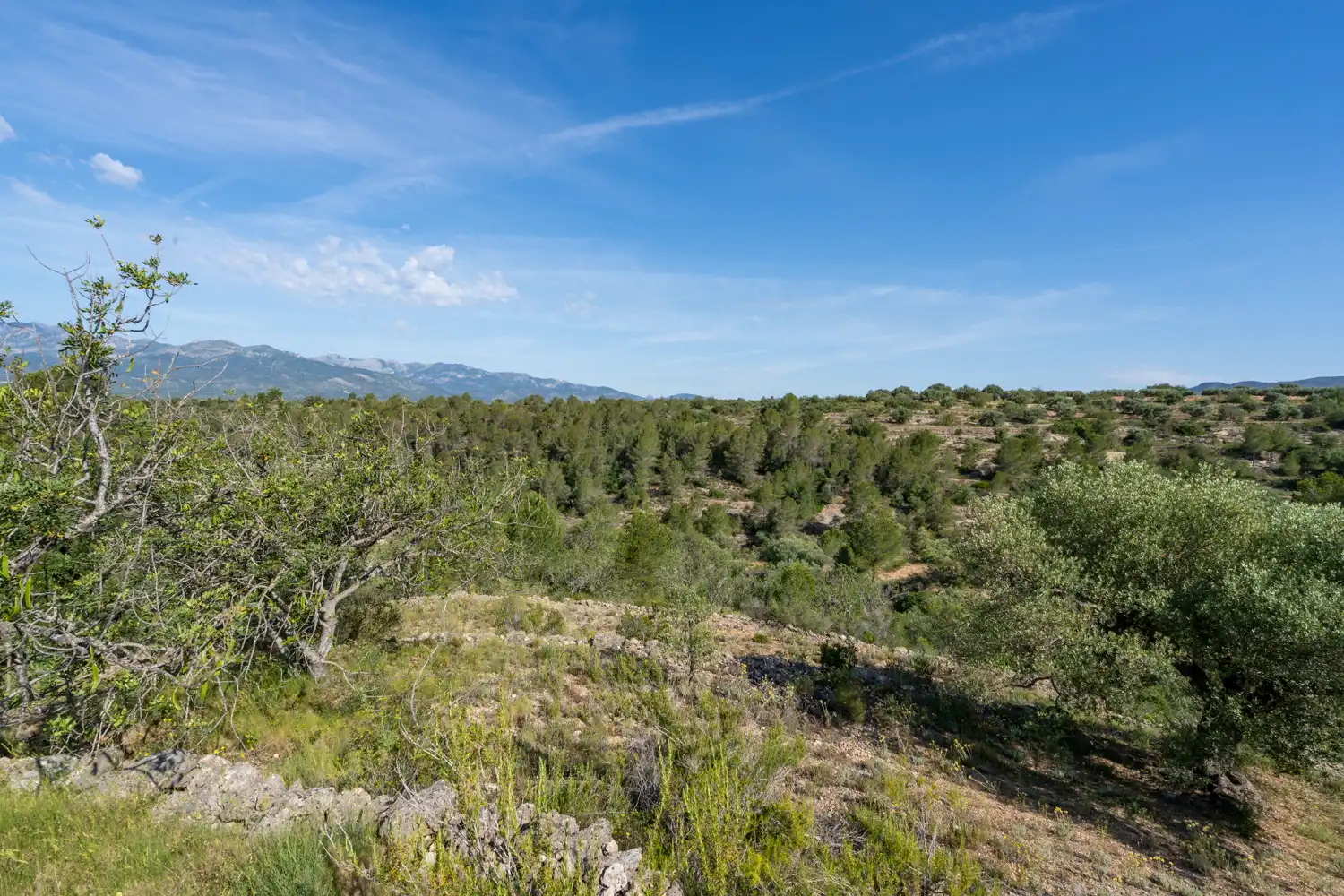 Terrain rustique à vendre à Bítem, imagen 14