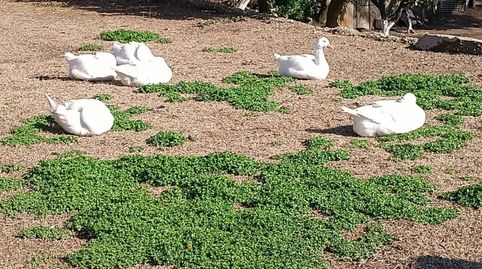 Foto 2 de Casa o chalet en venta en Nucli Urbà, Esparreguera