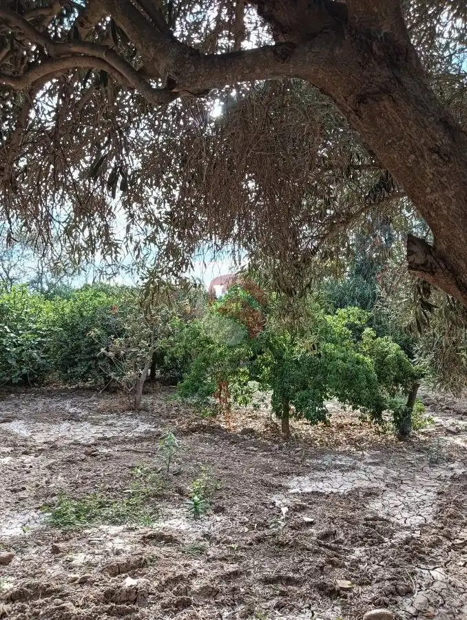 Landhaus mit Garten zum Verkauf in Dehesa Molino Alto, imagen 33