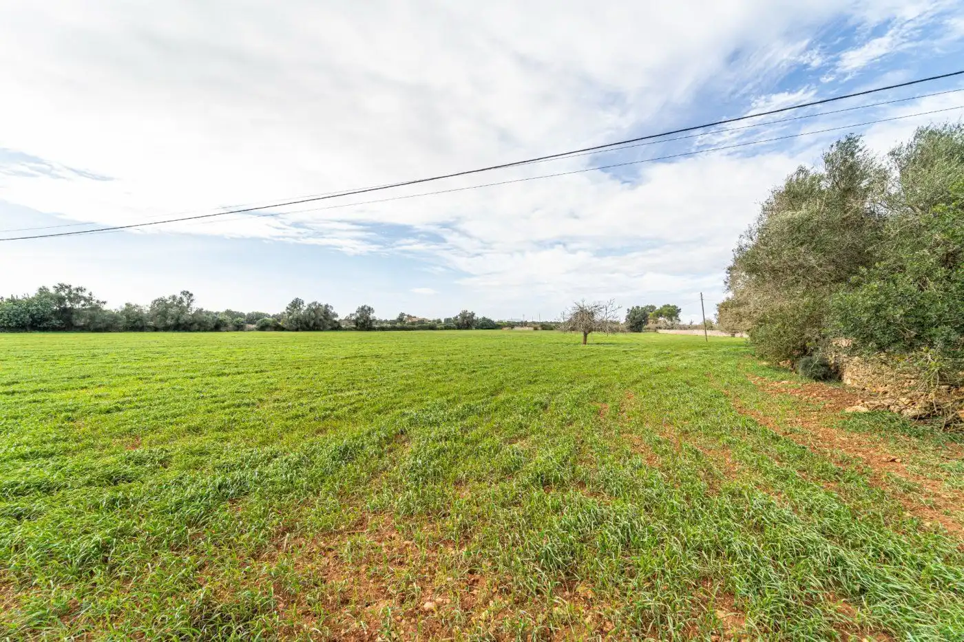 Residential land for sale in S'Horta - Cas Concos des Cavaller - Es Carritxó, imagen 6