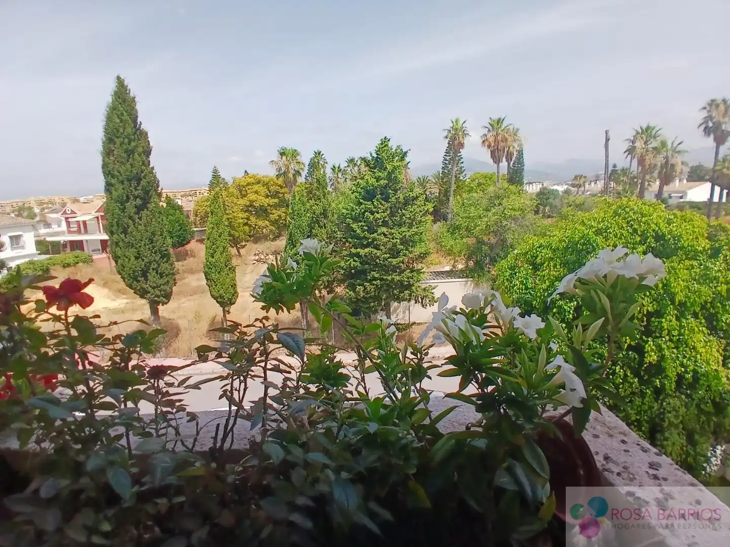 Garden of Flat for rent in Marbella  with Terrace, Furnished and Community pool