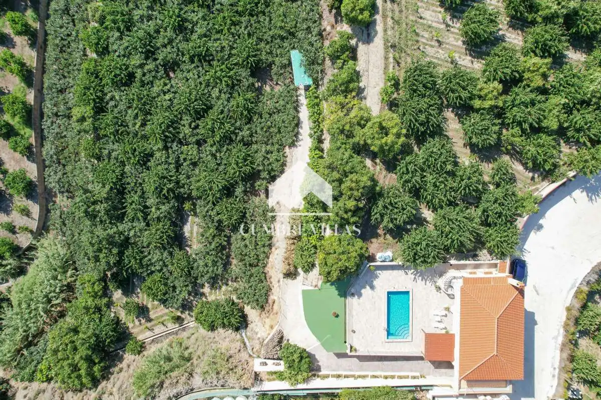 Finca rústica en venta en Centro