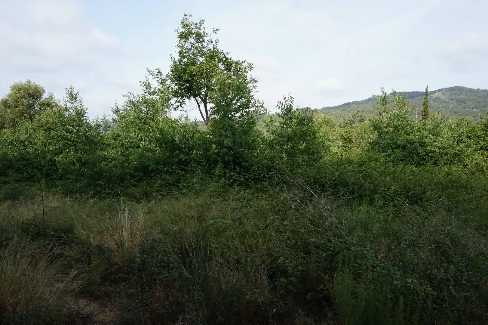 Maison rustique à vendre à Les Borges del Camp, imagen 12