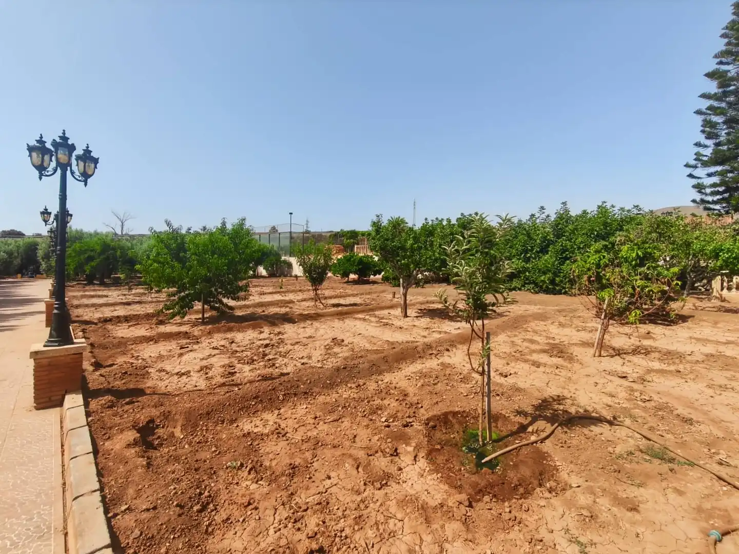 Villa mit Pool zum Verkauf in Piedras Redondas - Torrecárdenas, imagen 6