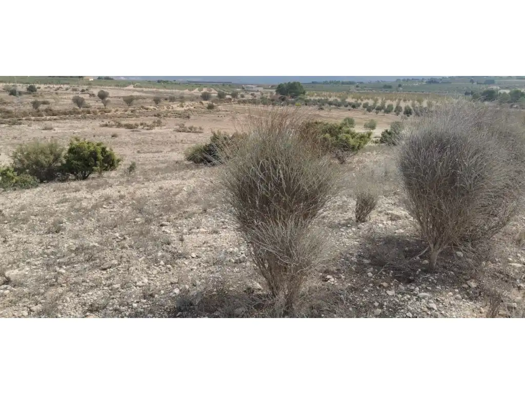 Terreno residenziale in vendita a Salinas, imagen 8