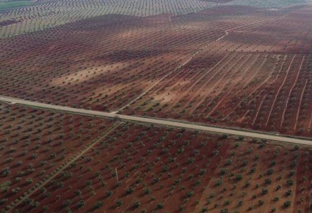 Terreno residencial en Venta en Cerro de Reyes