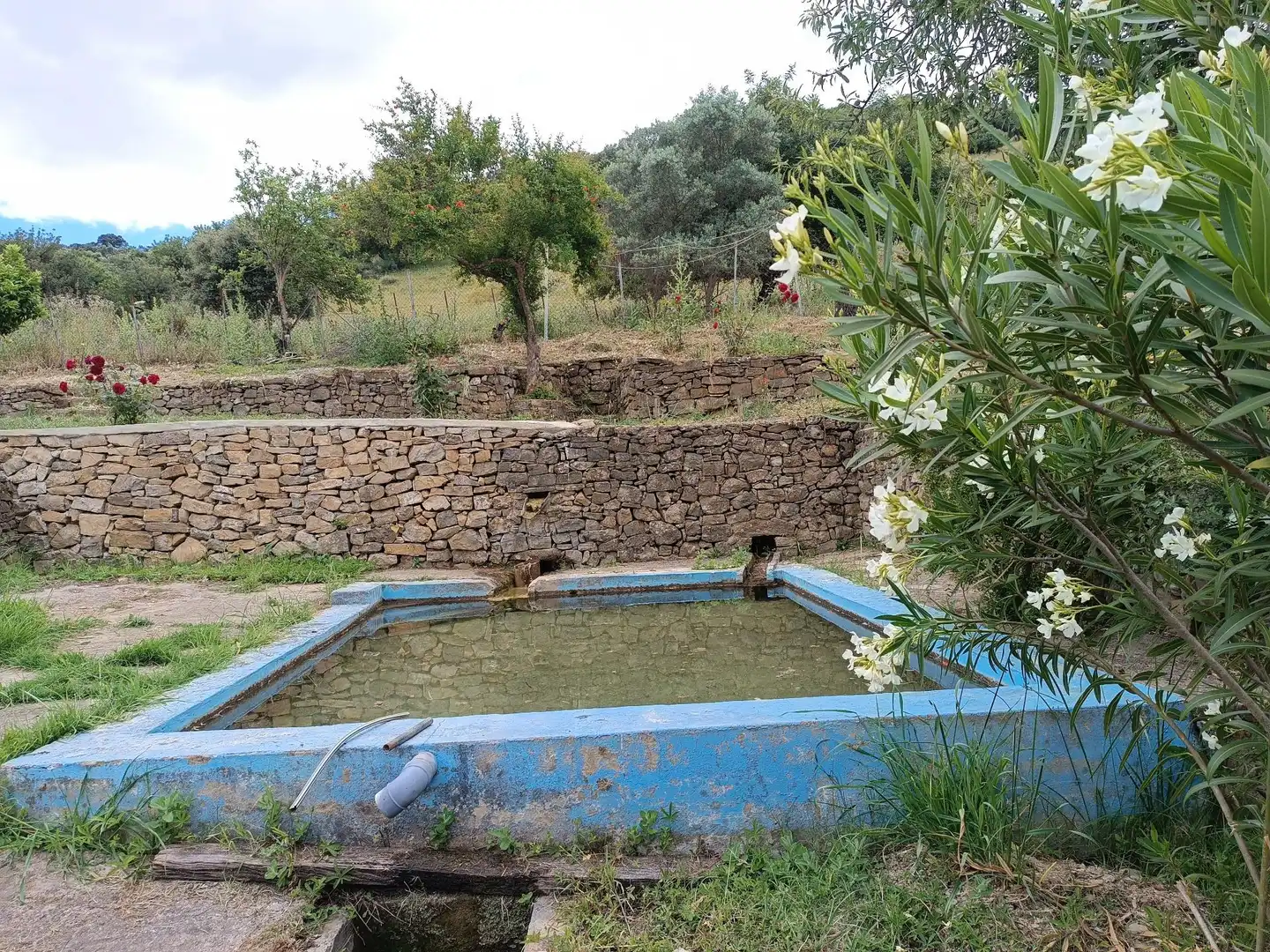 Garden of Residential for sale in Ubrique