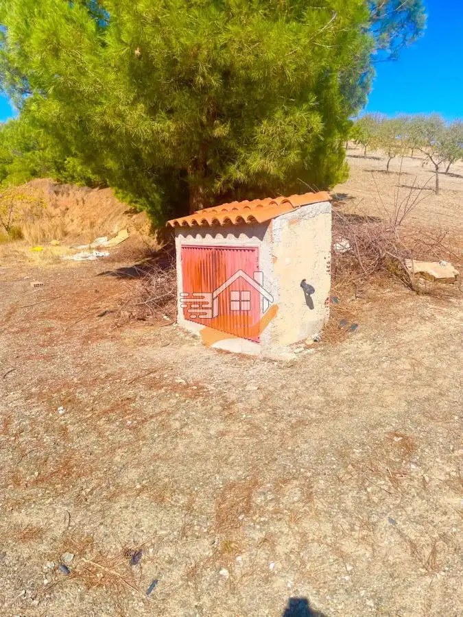 Finca rústica en venta en Lorca