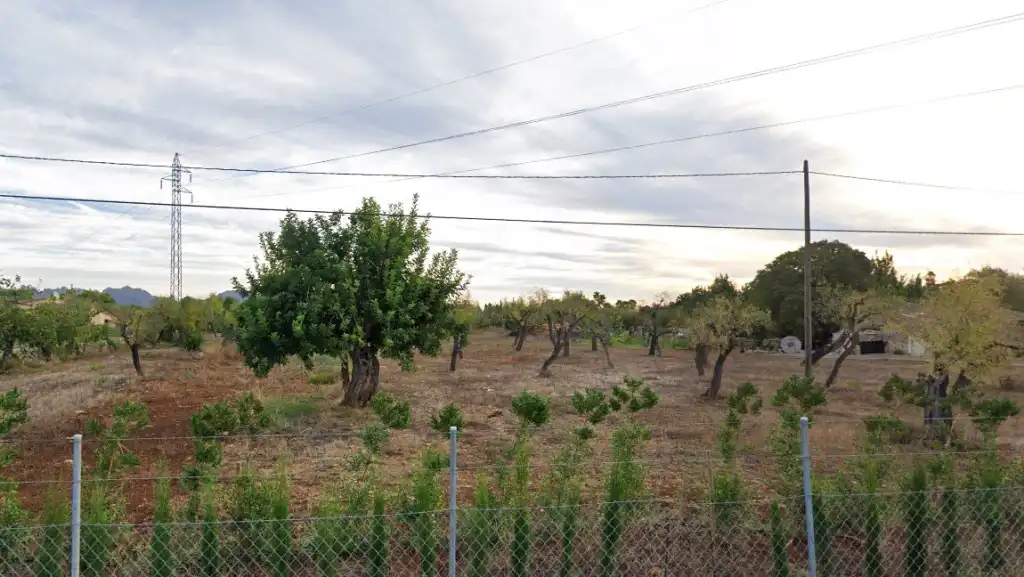 Terreno rústico en venta en Pollença Poble, imagen 2