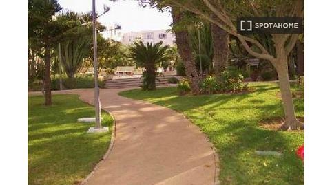 Foto 2 de Estudi per a compartir a Gran Vista - Olivo de Oro, Alicante