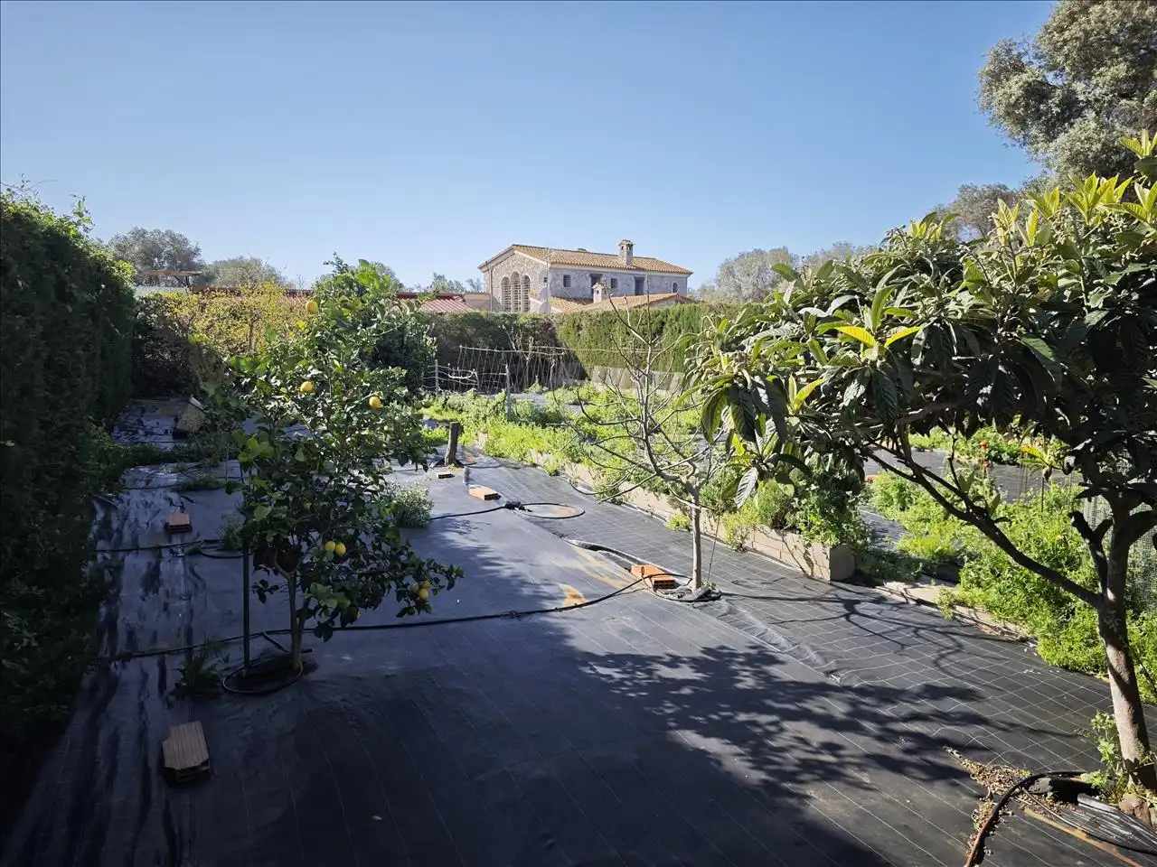 Residential for sale in ROGER DE FLOR, Vilajuïga