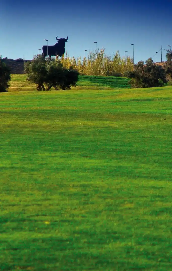 Baixos amb piscina en venda a Monforte del Cid, imagen 57