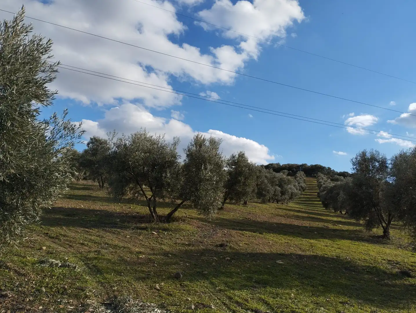Rural land for sale in Calle Río Anzur, imagen 5