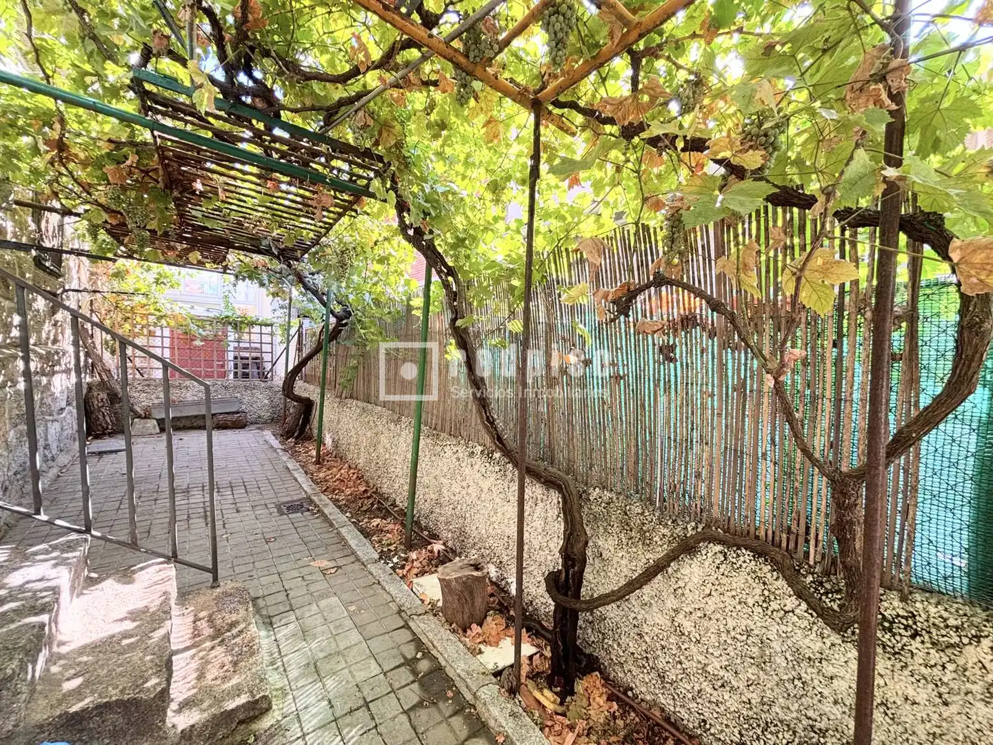 Jardí de Casa o xalet de lloguer en Colmenar Viejo amb Calefacció, Terrassa i Alarma