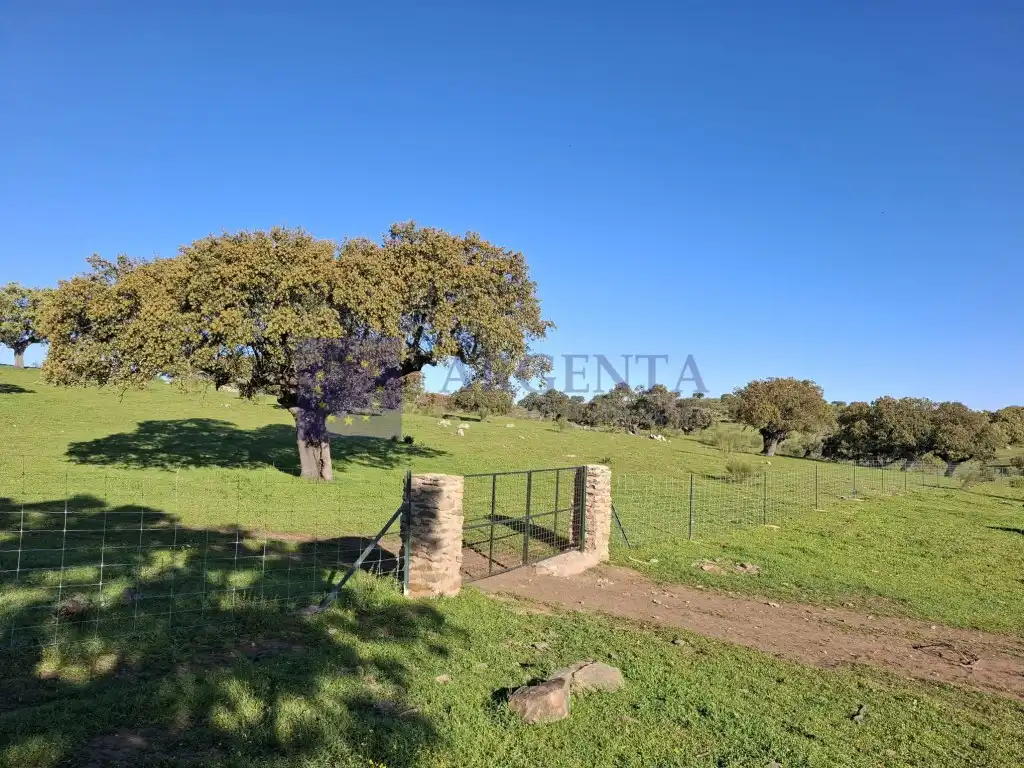 Casa o chalet en venta en Brozas