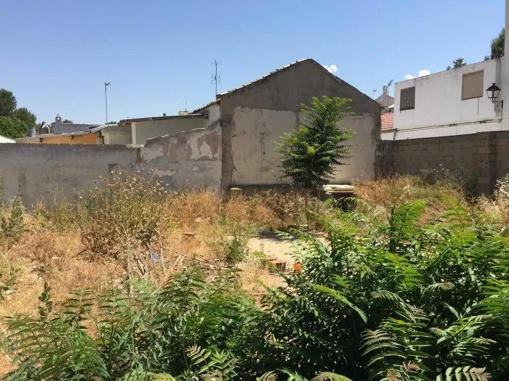 Terreni e lotti in vendita a Calle la Vega, imagen 6