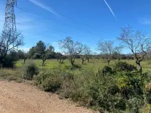 Terreno en venta en El Pont d'Armentera
