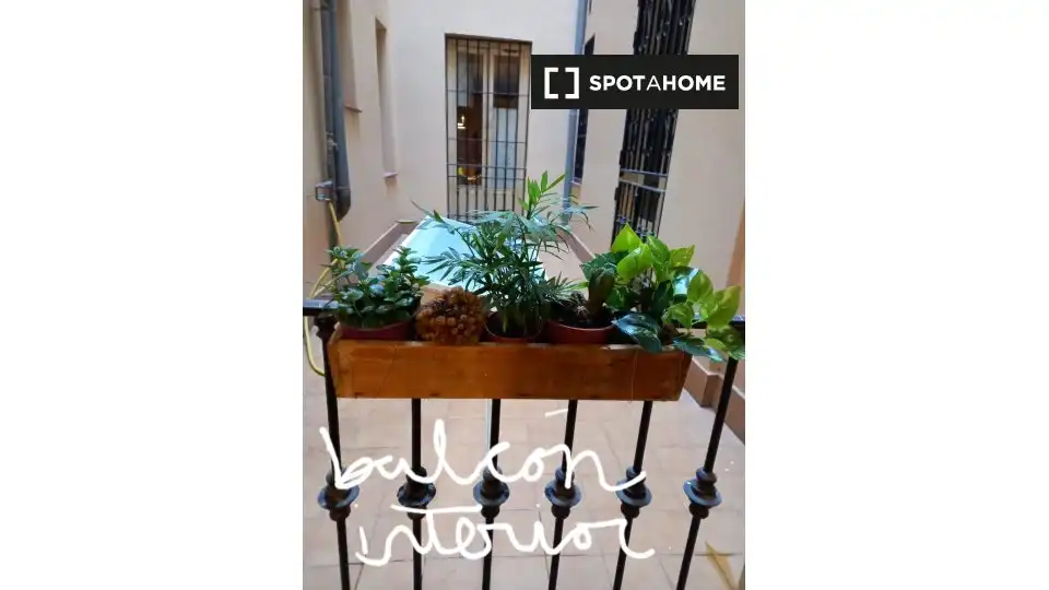Piso con terraza en alquiler en Centro, imagen 3