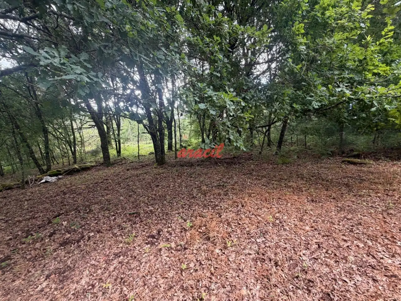 Finca rústica en venda en Amoeiro amb Calefacció, Jardí privat i Balcó