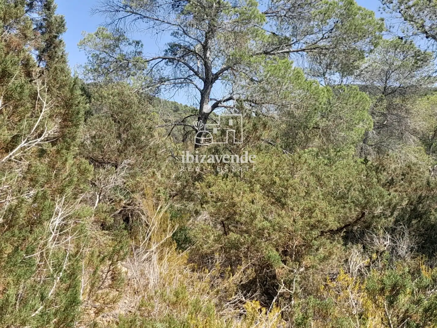 Grundstücke zum Verkauf in Sant Josep de sa Talaia