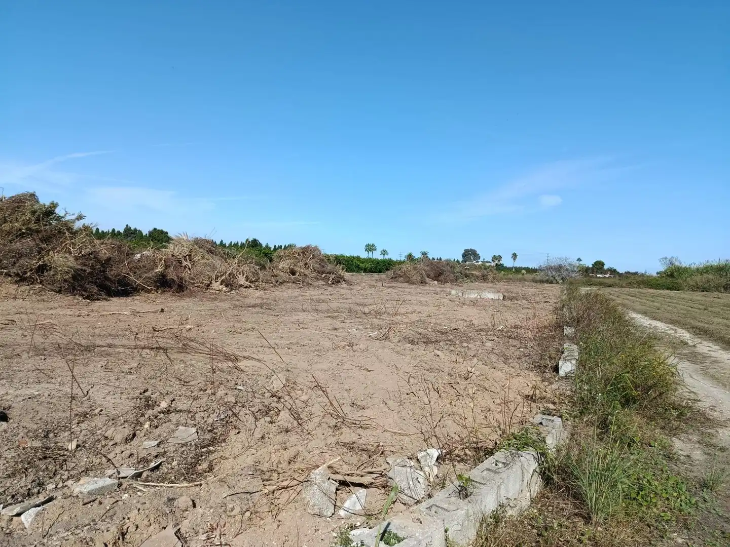 Terreny rústic en venda a Polígono siete 2020, imagen 11