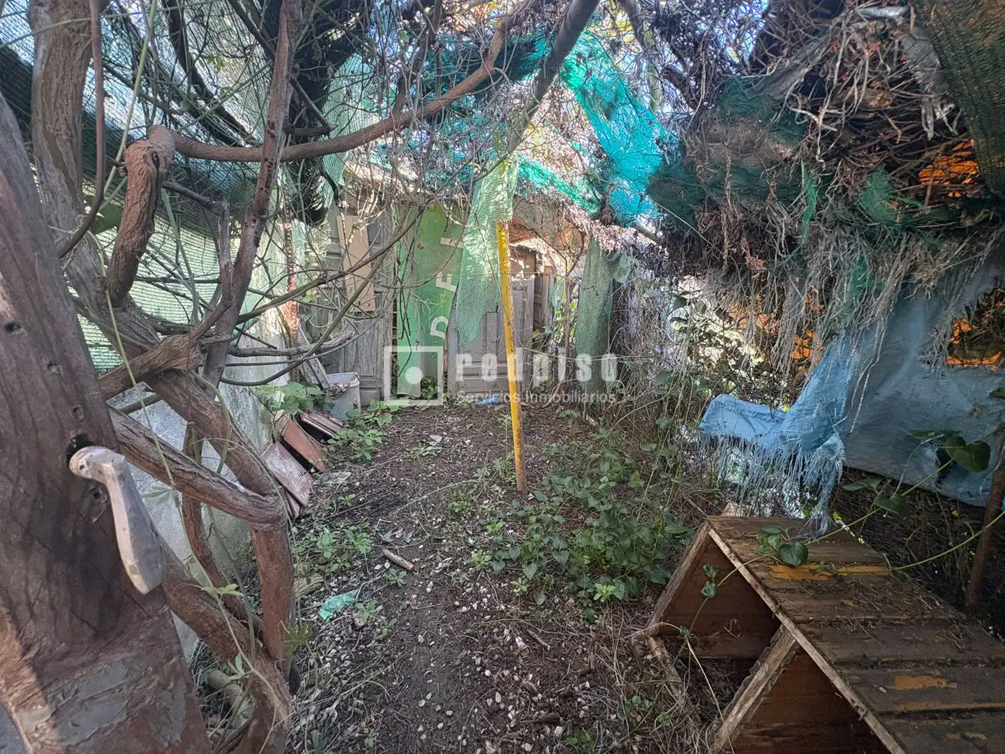 Casa amb jardí en venda a Diseminados, imagen 43