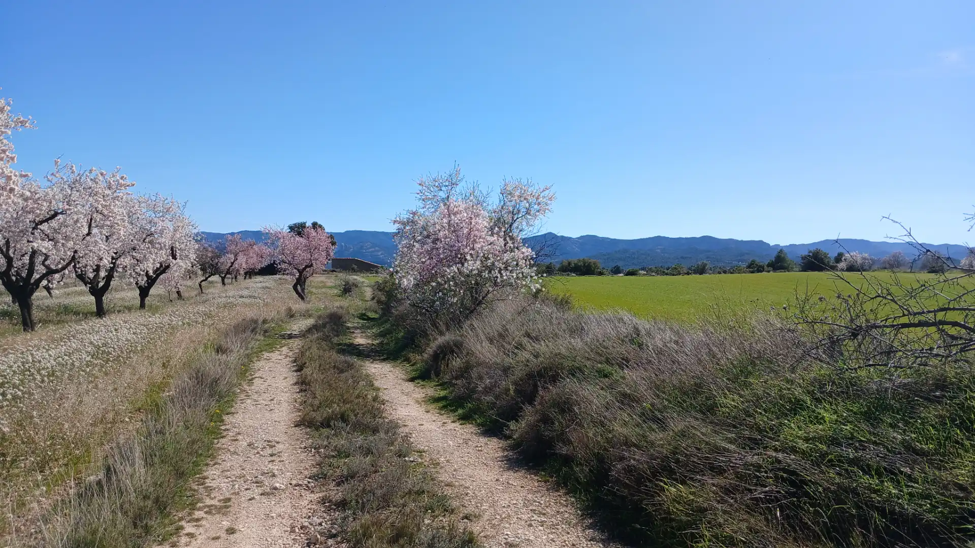 Terreni e lotti in vendita a Valderrobres, imagen 6