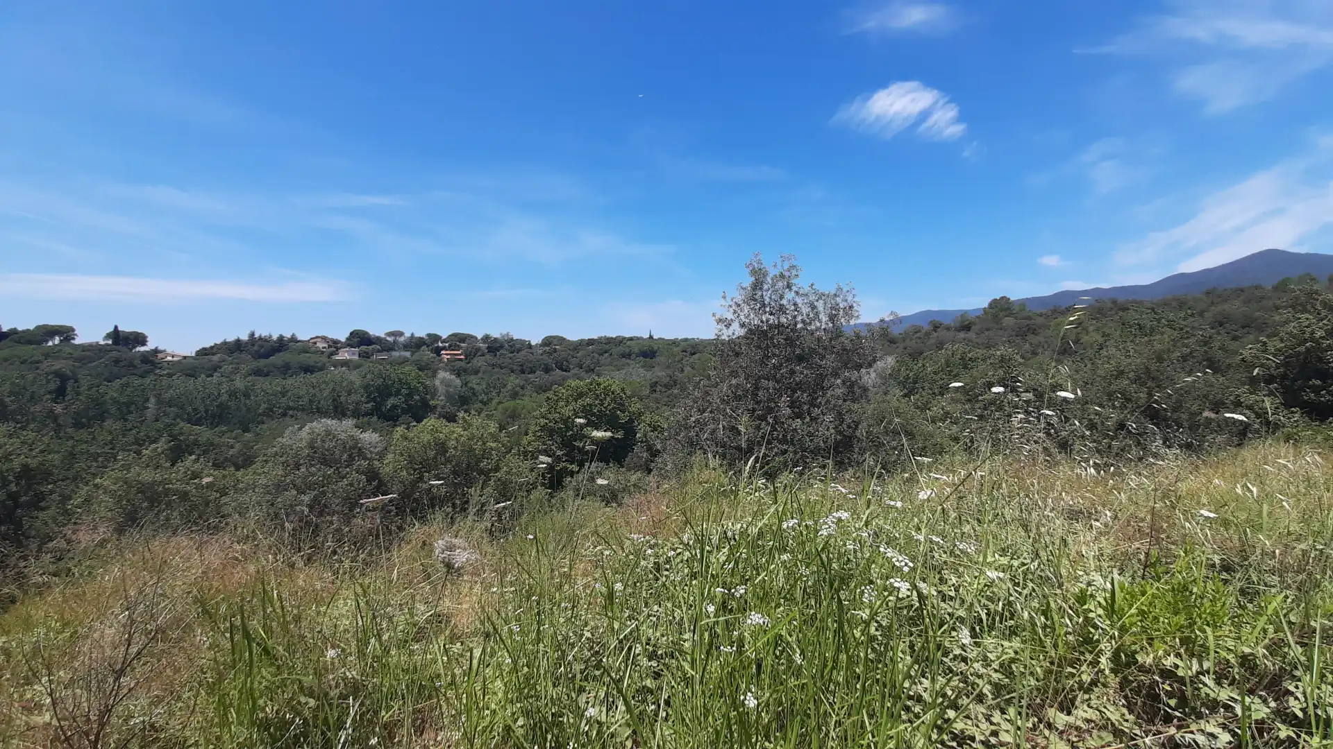 Residential land for sale in Carrer Pla de la Calma, imagen 5