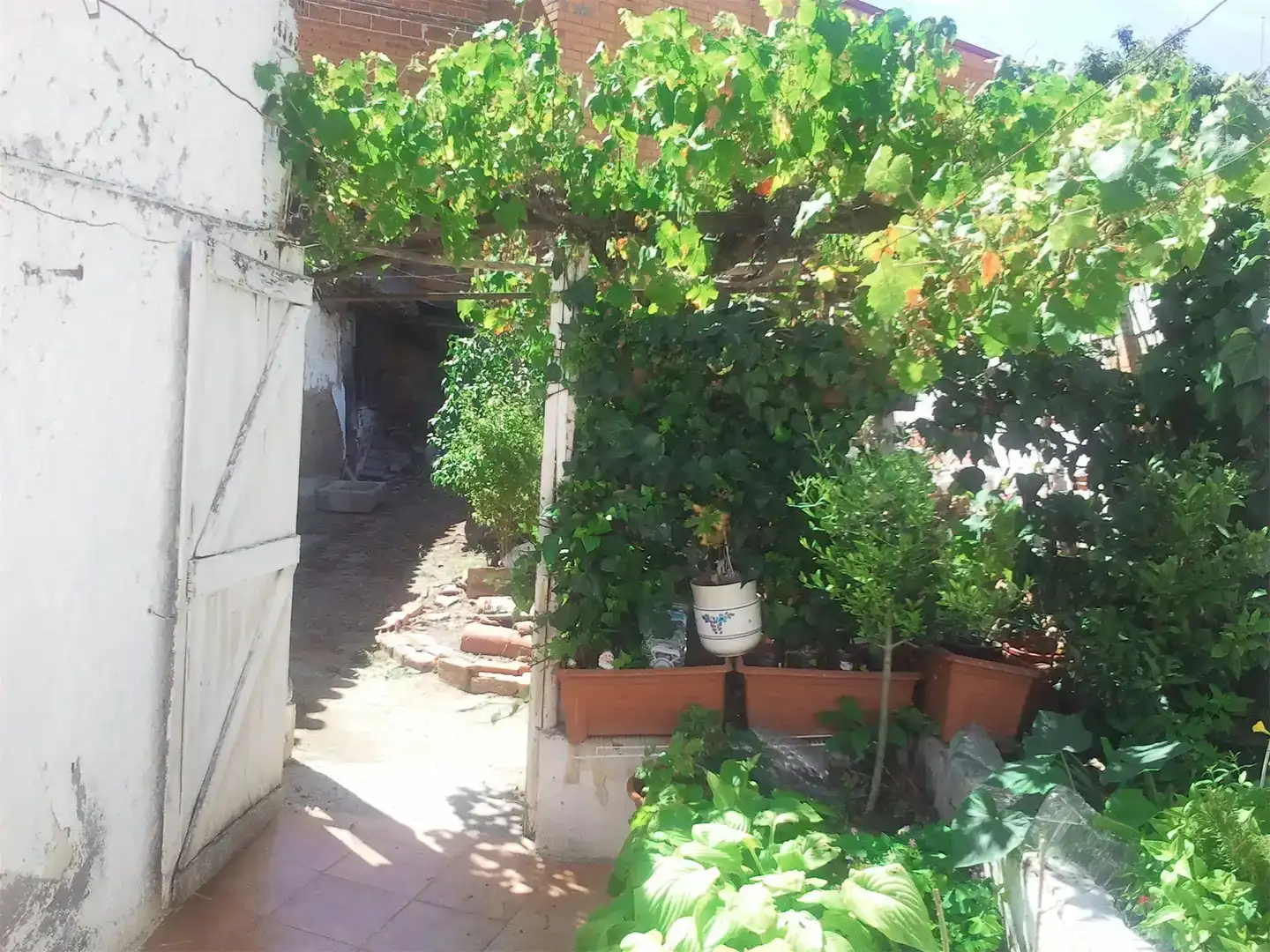 Casa o chalet en venta en Florida, 19, Benavente