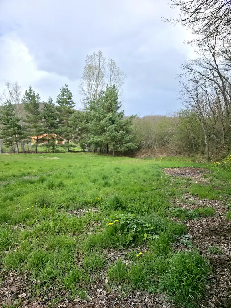 Casa o xalet en venda en Pomar de Valdivia amb Calefacció, Jardí privat i Terrassa